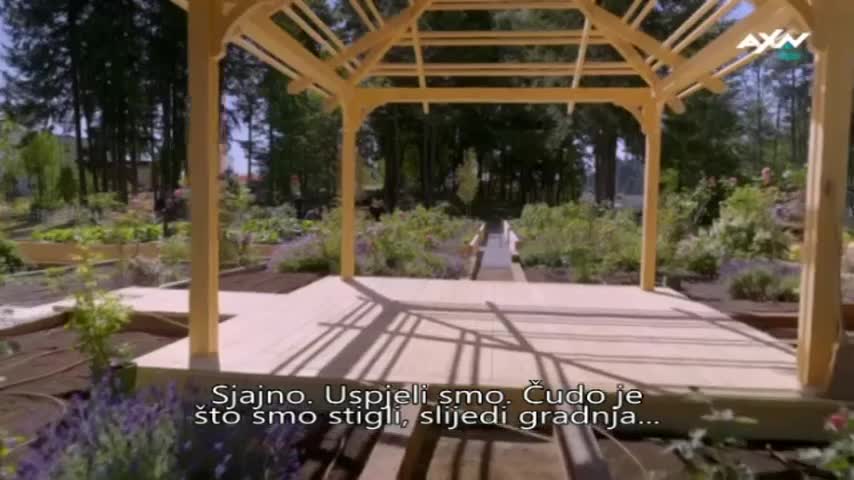 AXNSpin