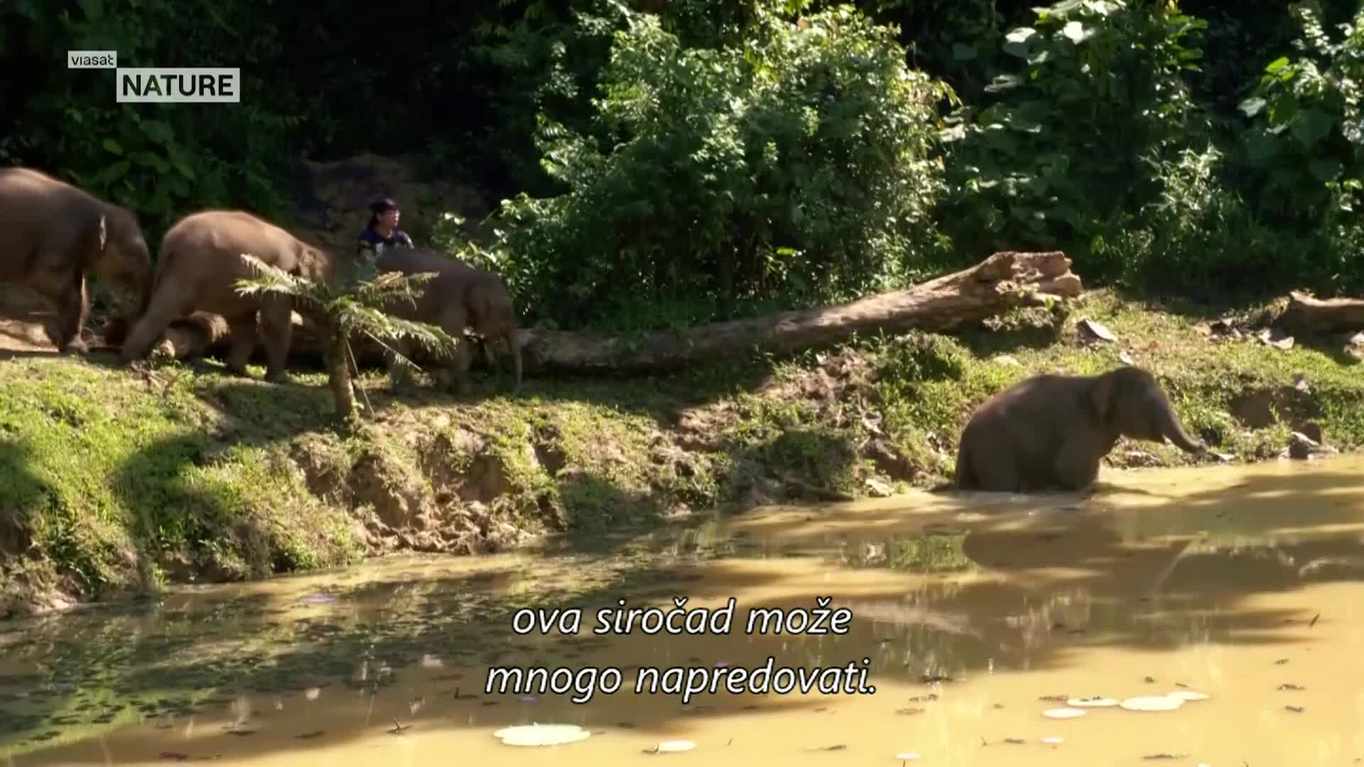 ViasatNature