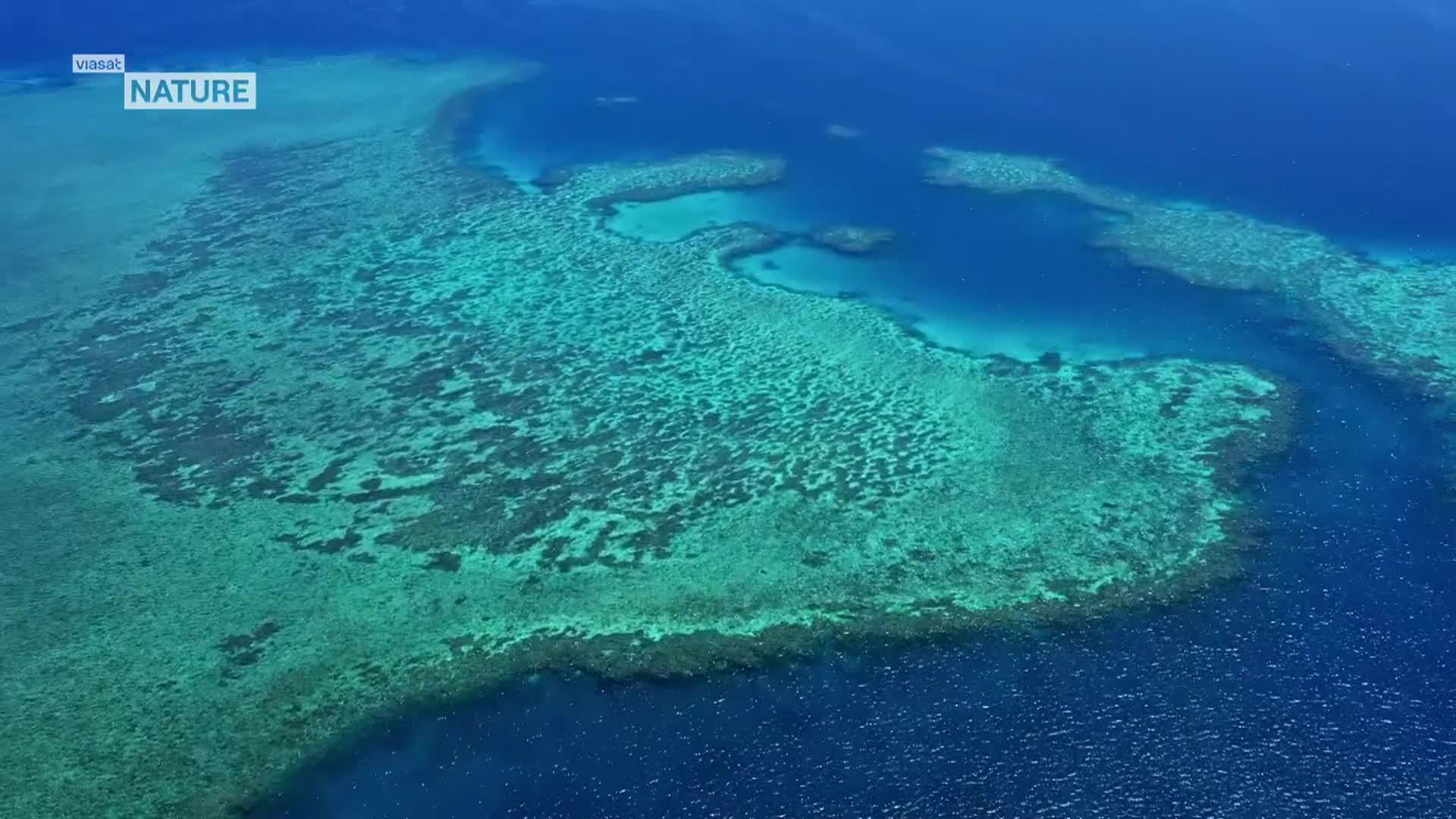 ViasatNature