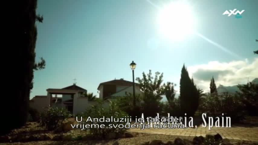 AXNSpin