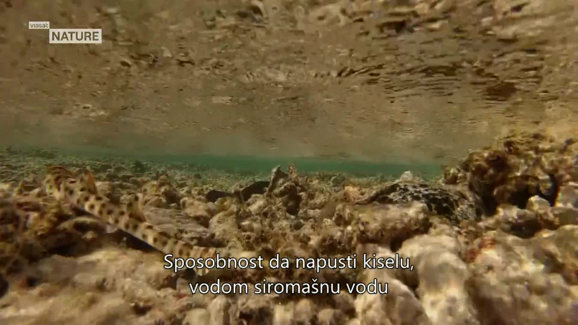 ViasatNature