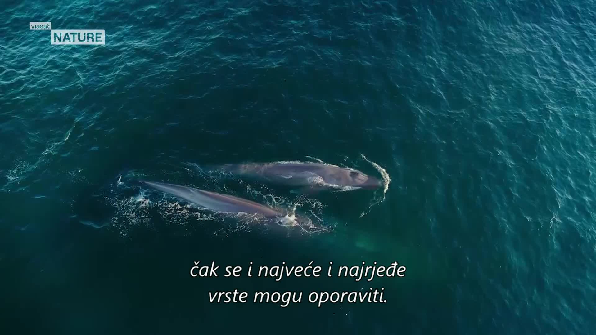 ViasatNature