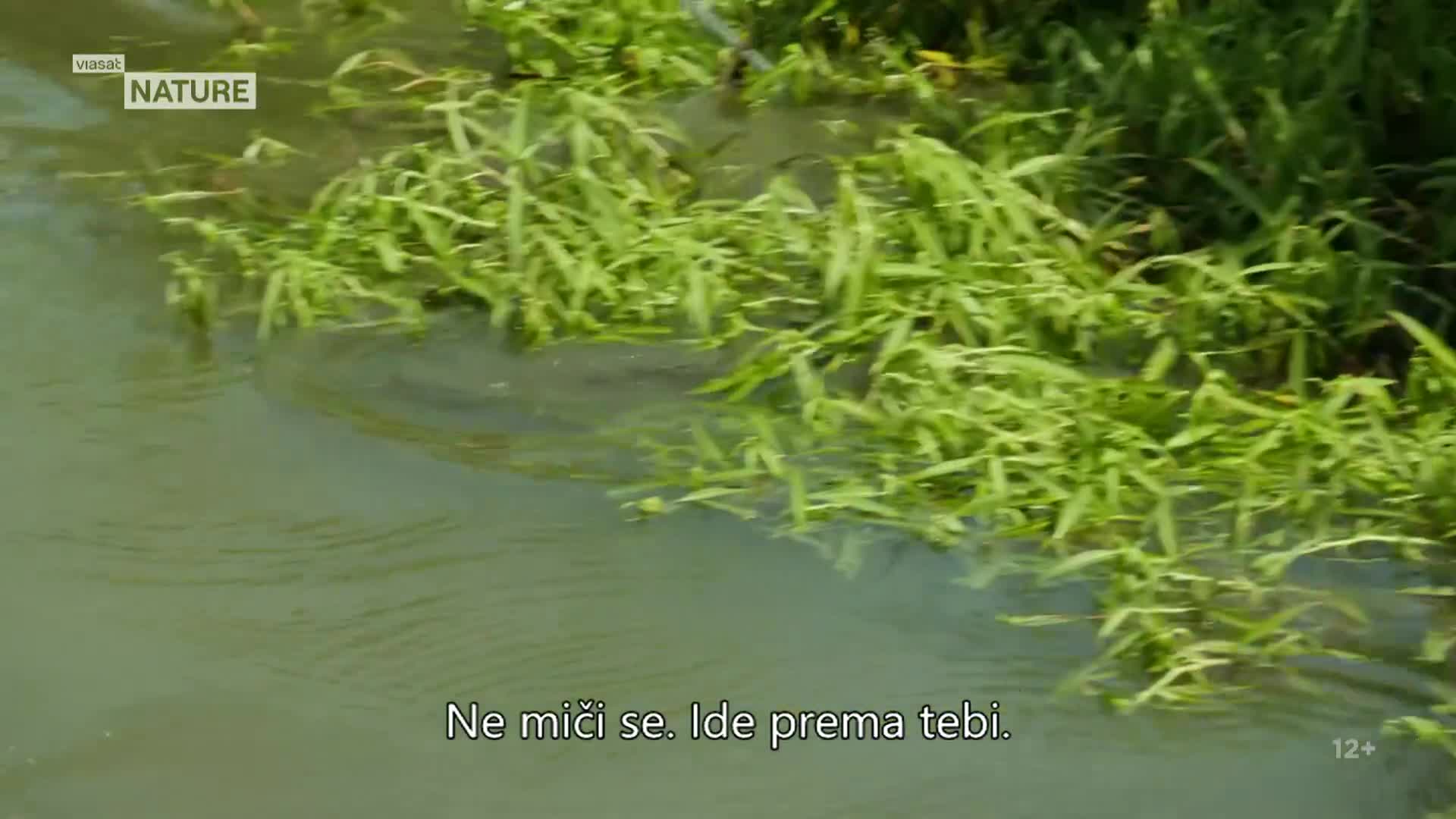 ViasatNature