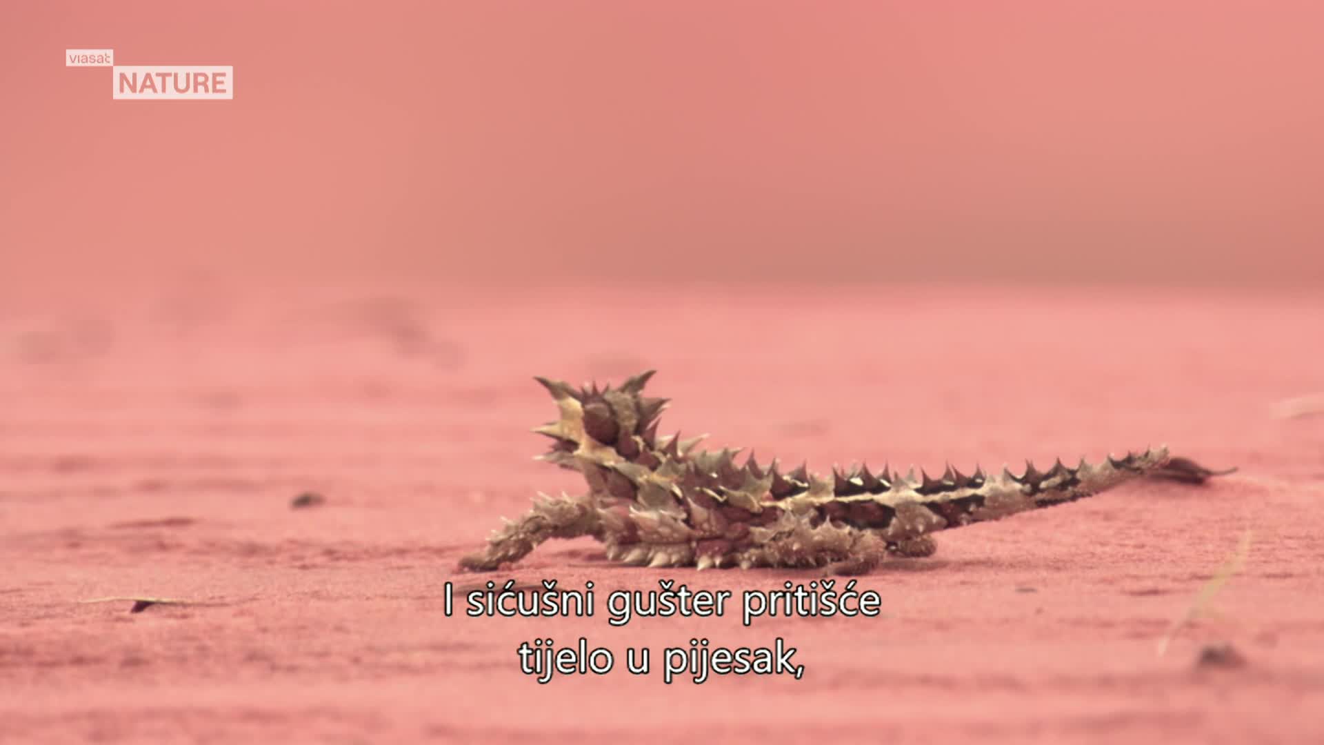 ViasatNature