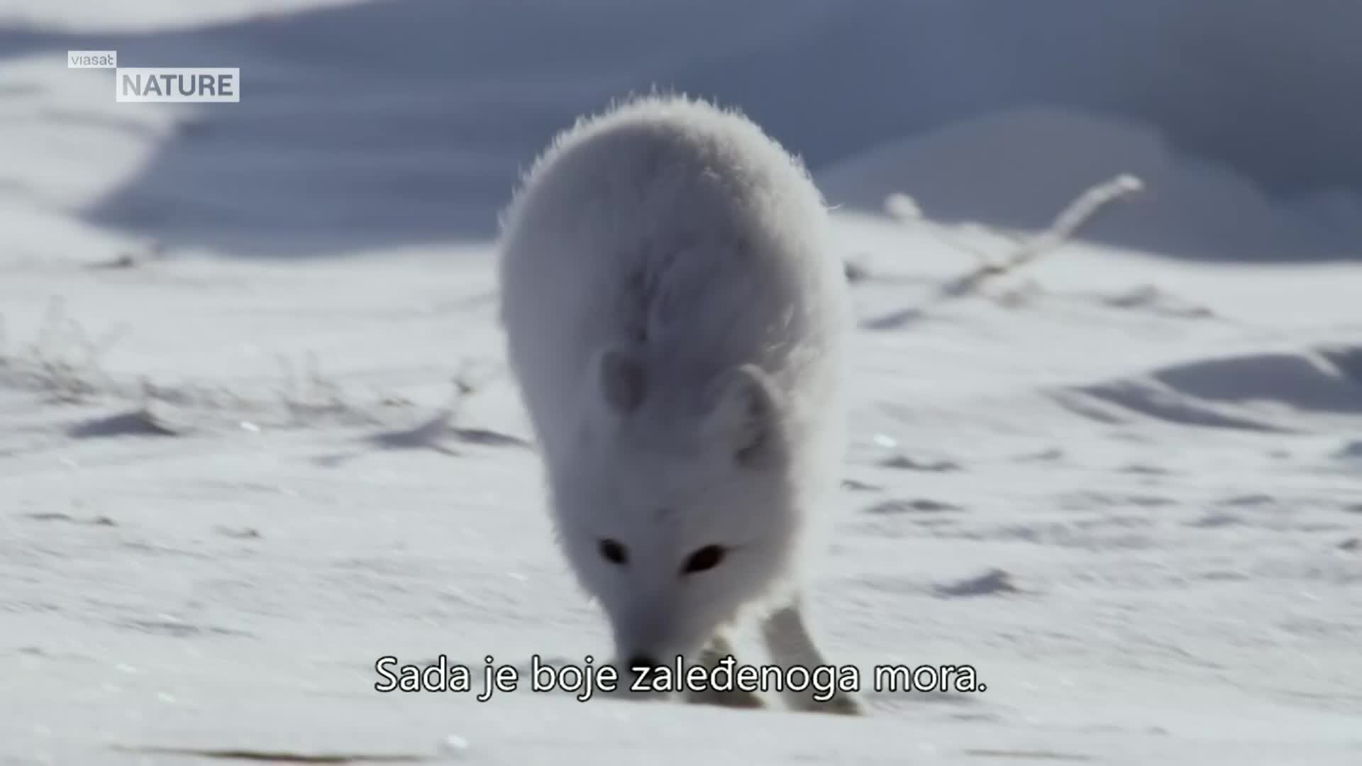 ViasatNature