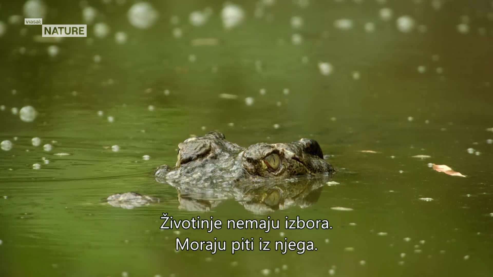 ViasatNature