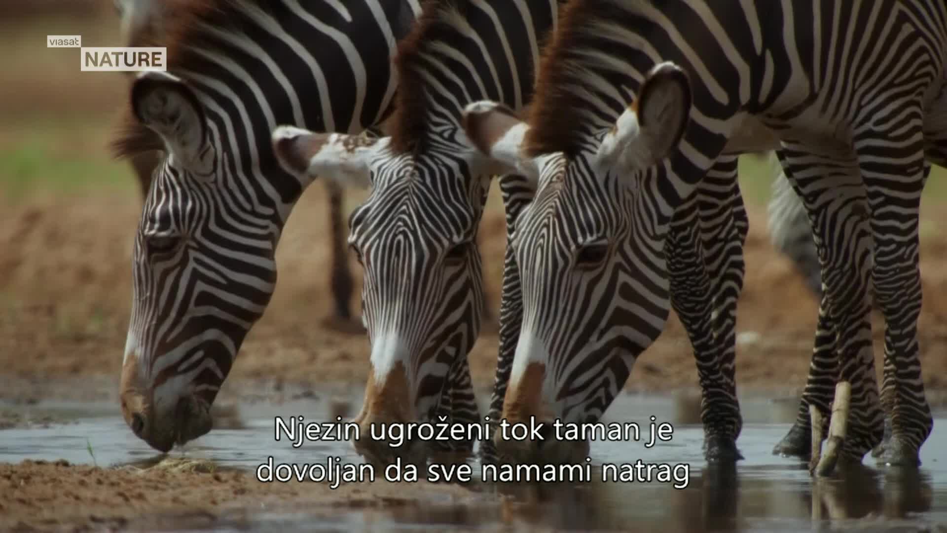 ViasatNature