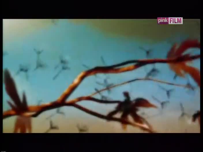PinkFilm