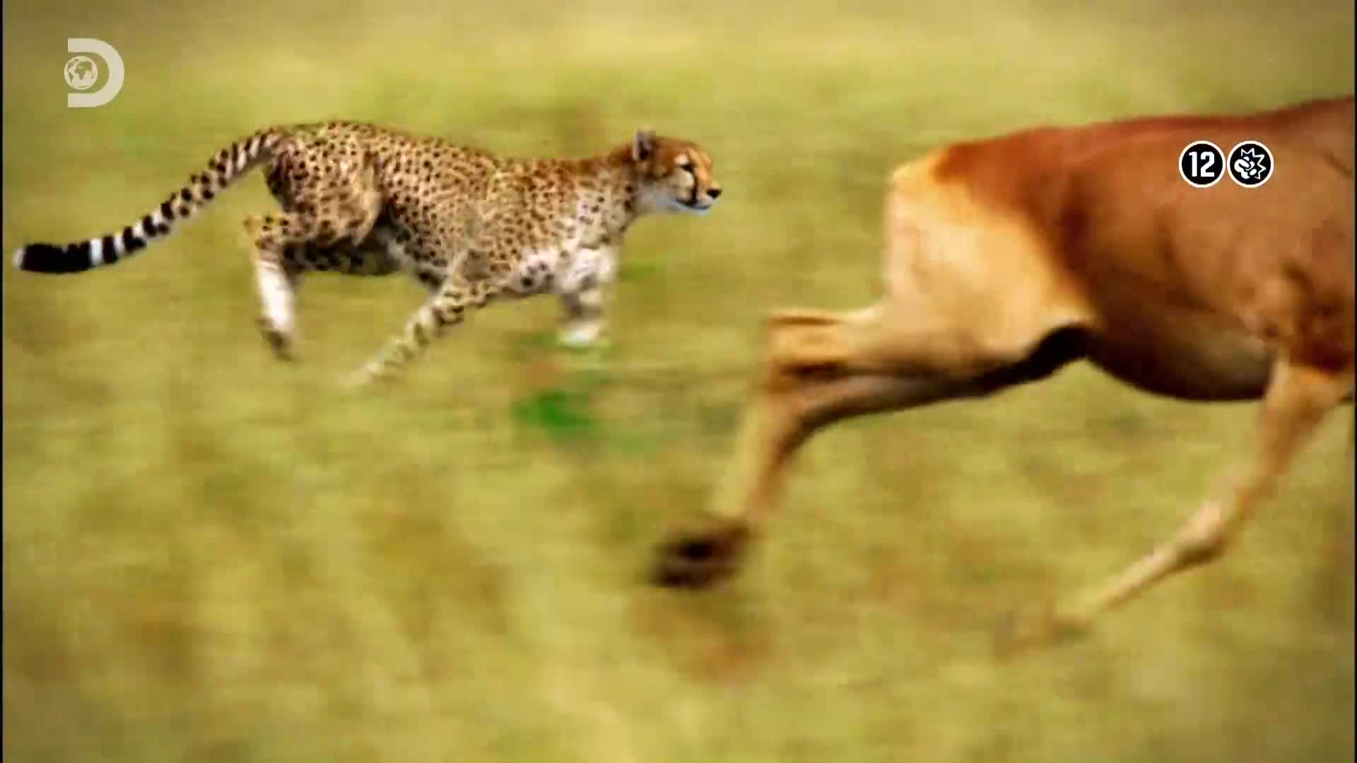ViasatExplorer