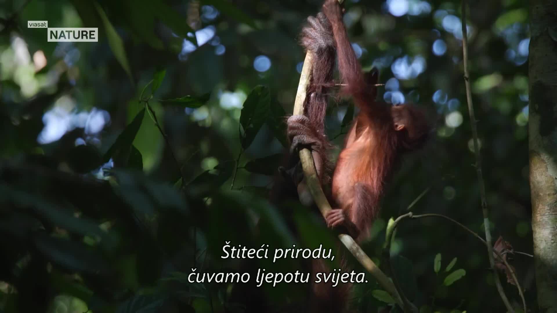 ViasatNature