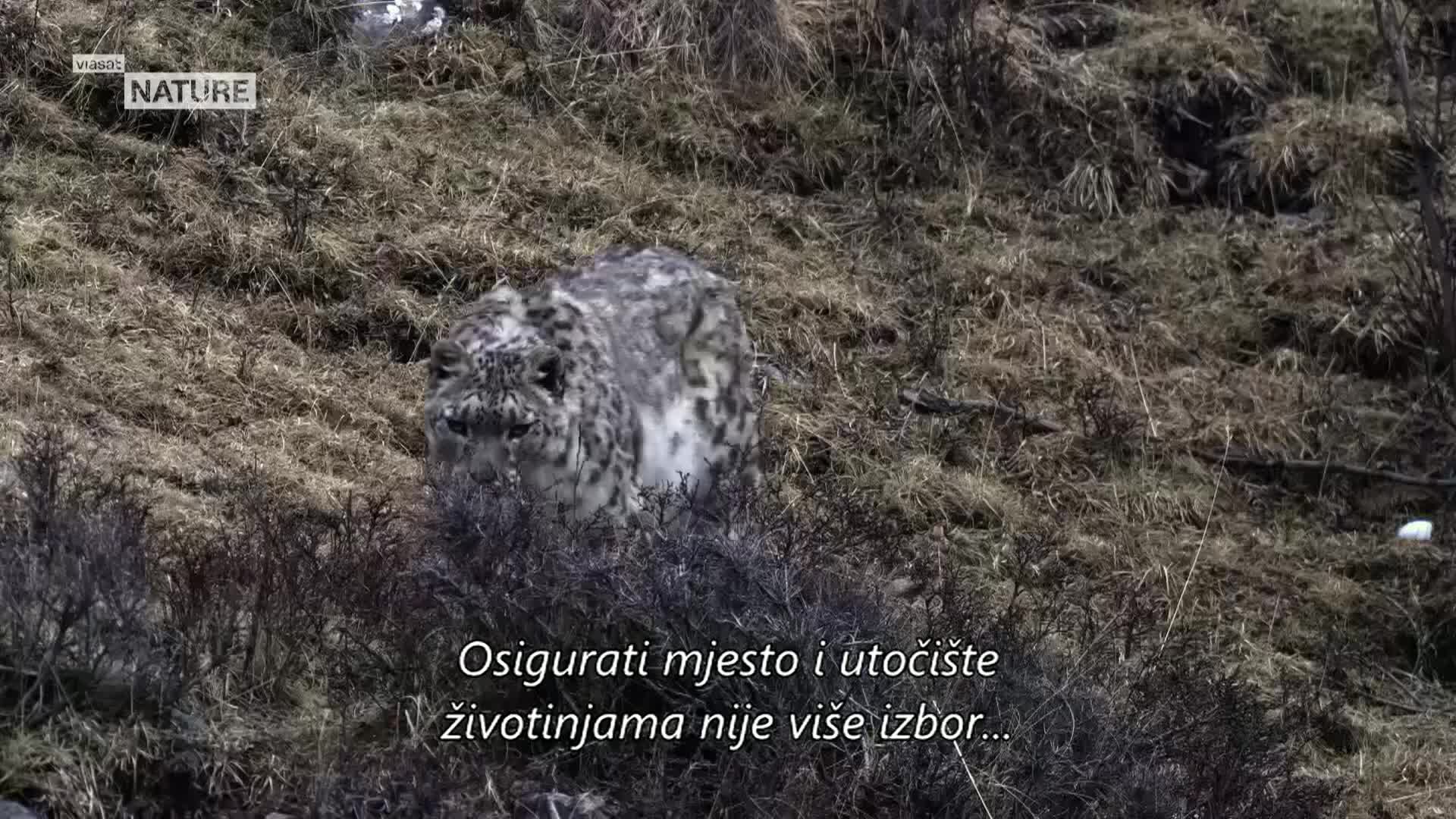 ViasatNature