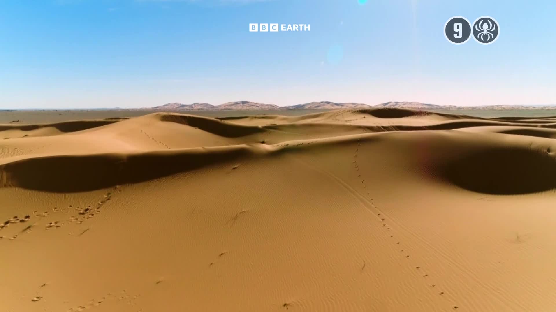BBCEarth