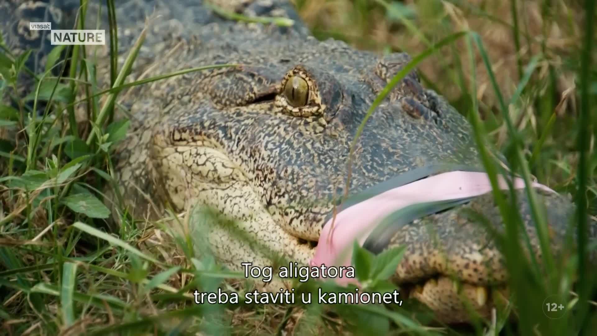 ViasatNature