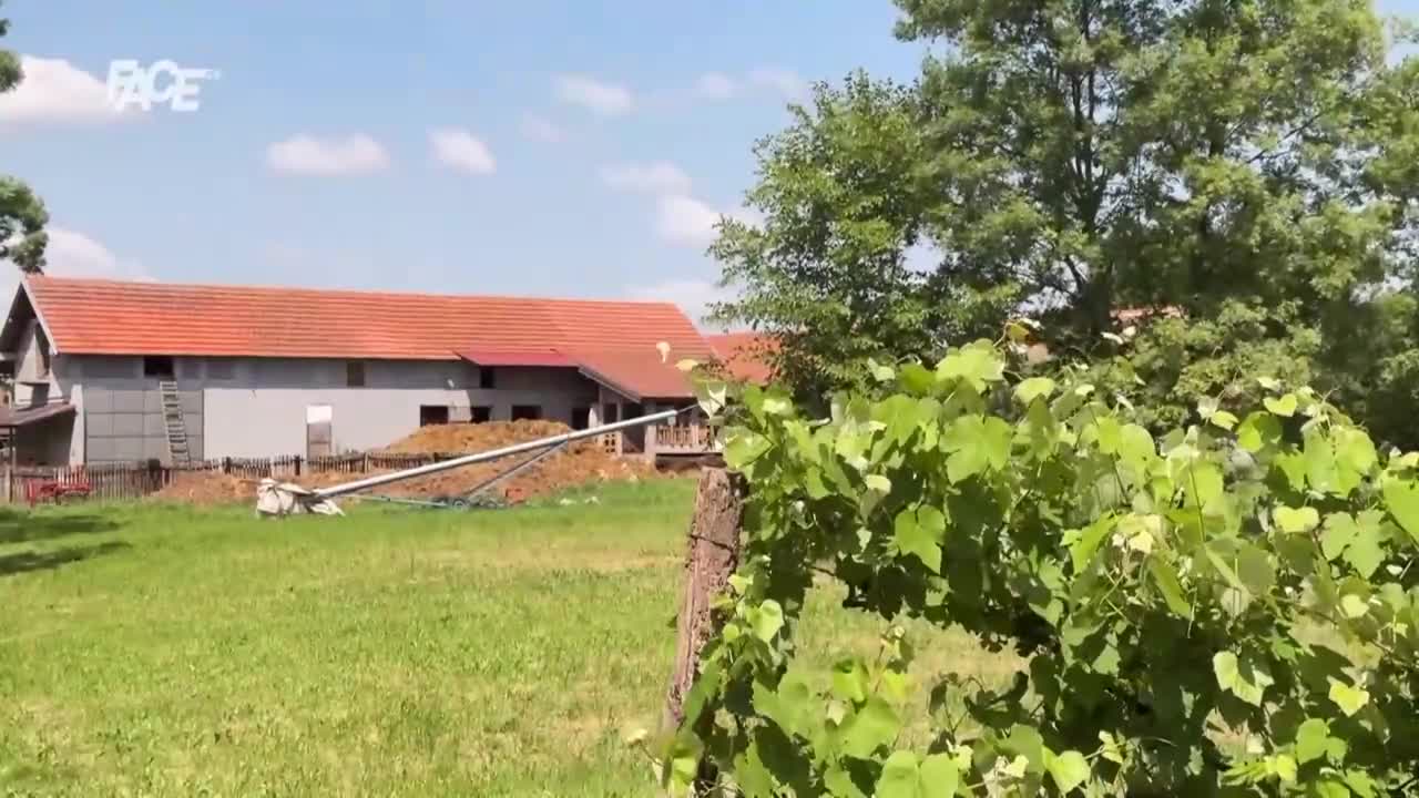 FaceTV