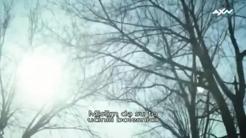 AXNSpin