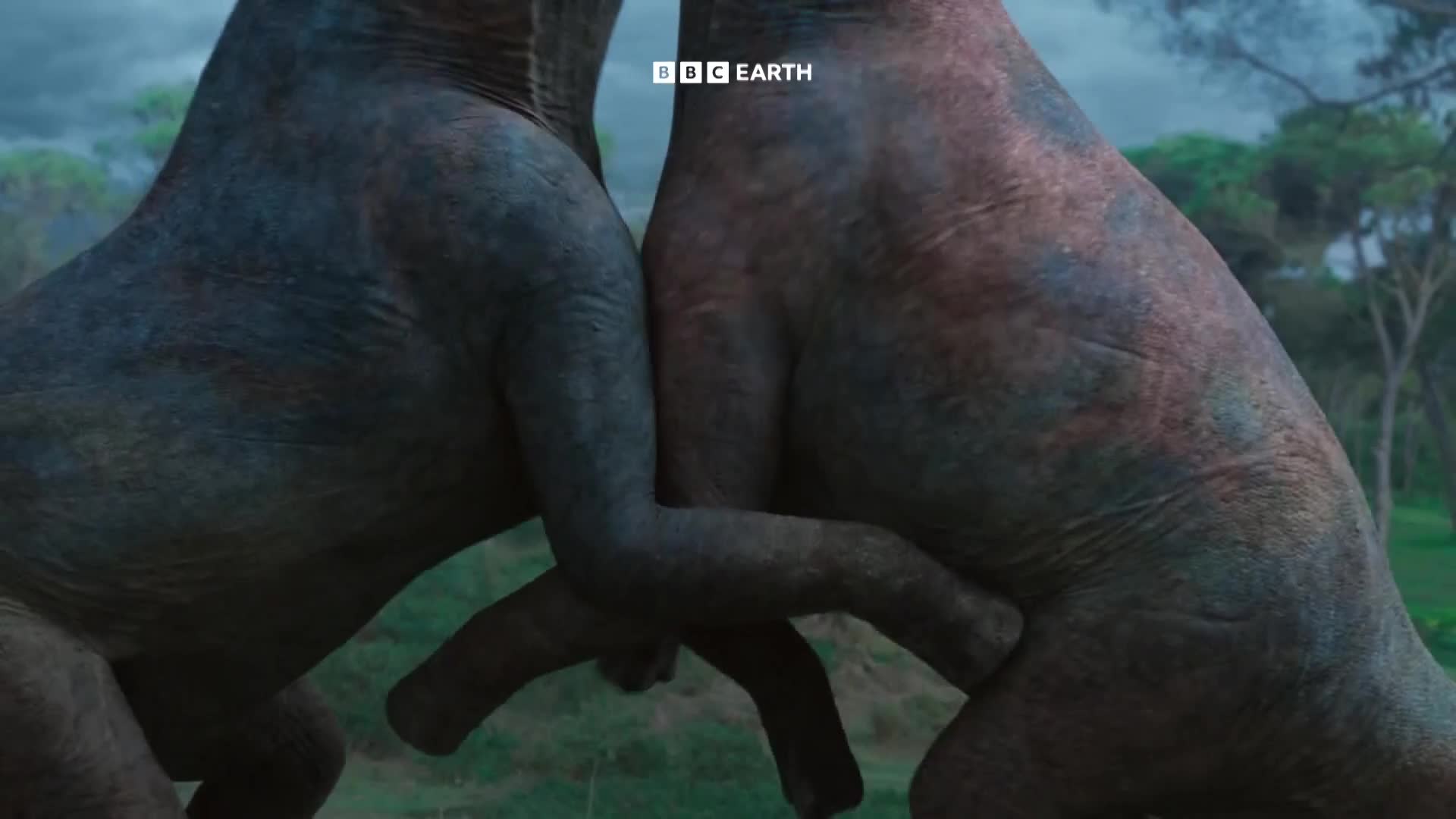 BBCEarth
