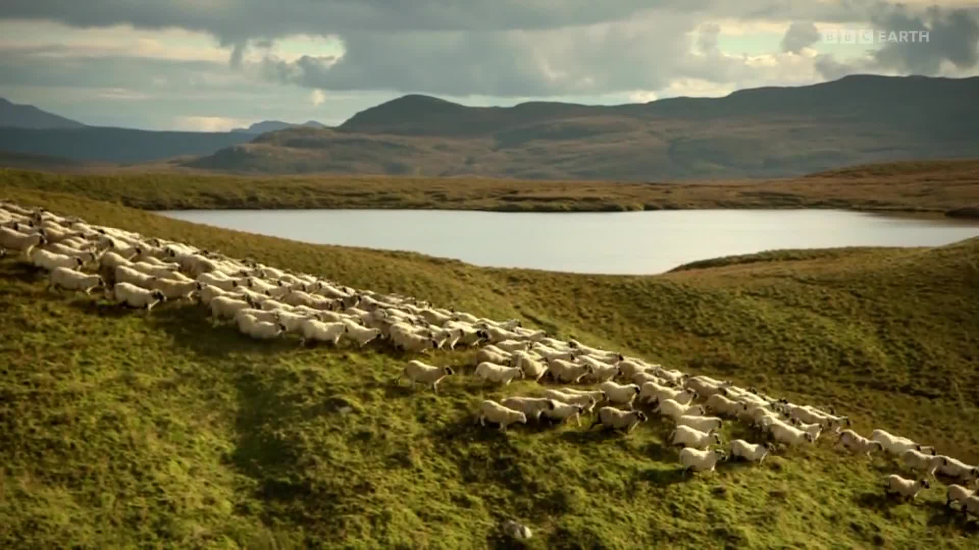BBCEarth