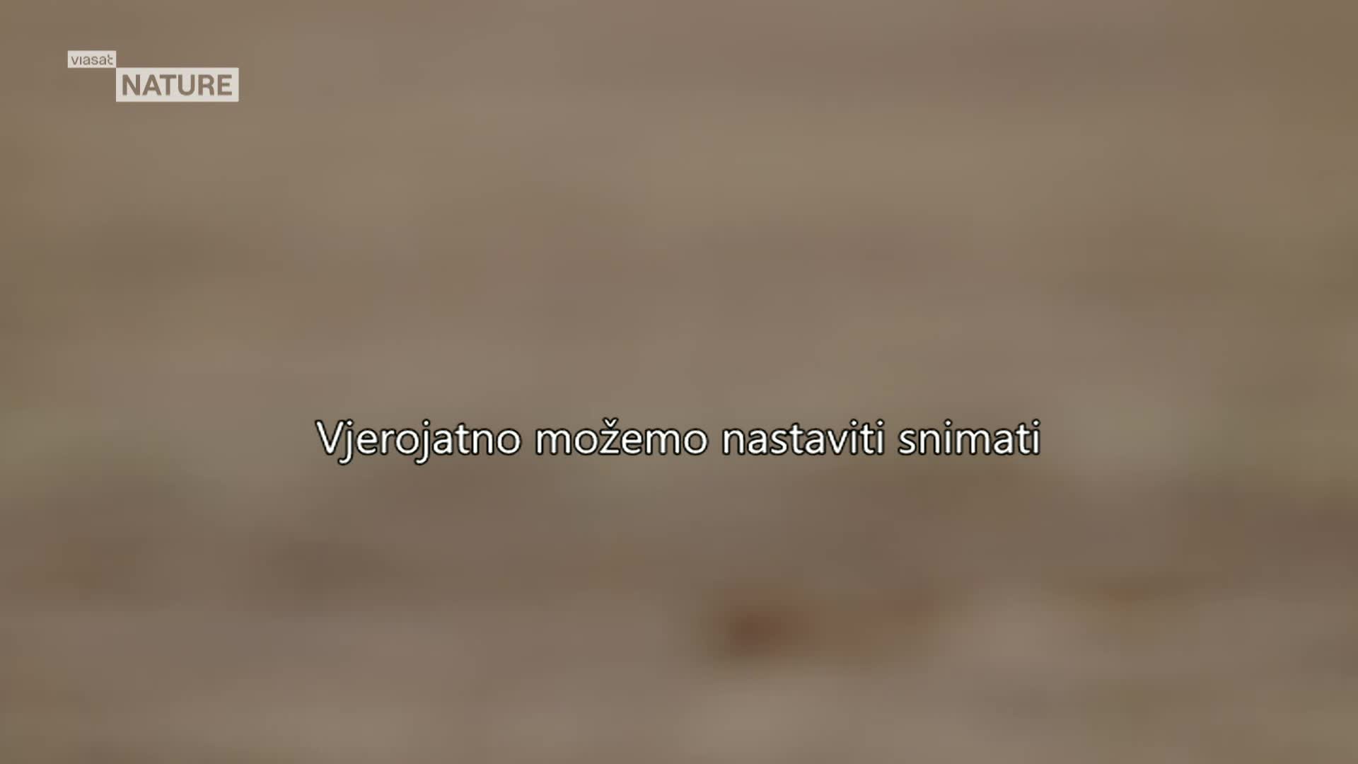 ViasatNature