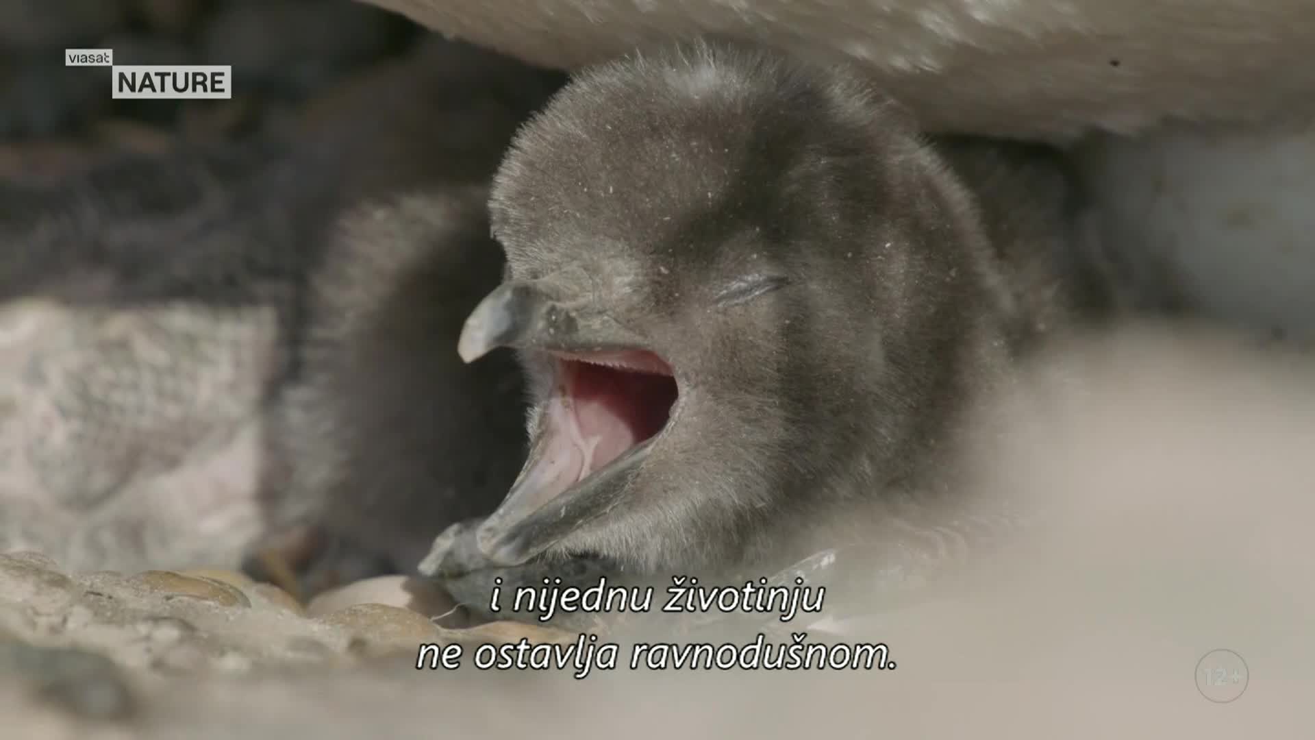 ViasatNature
