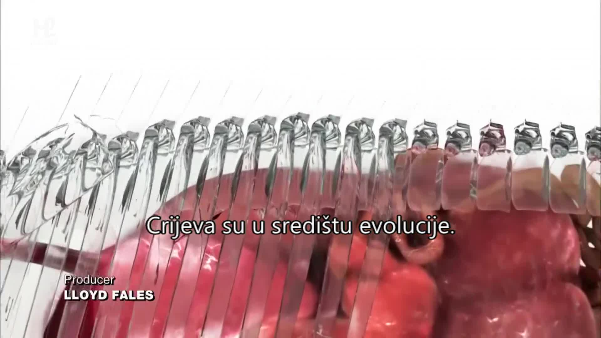 History2