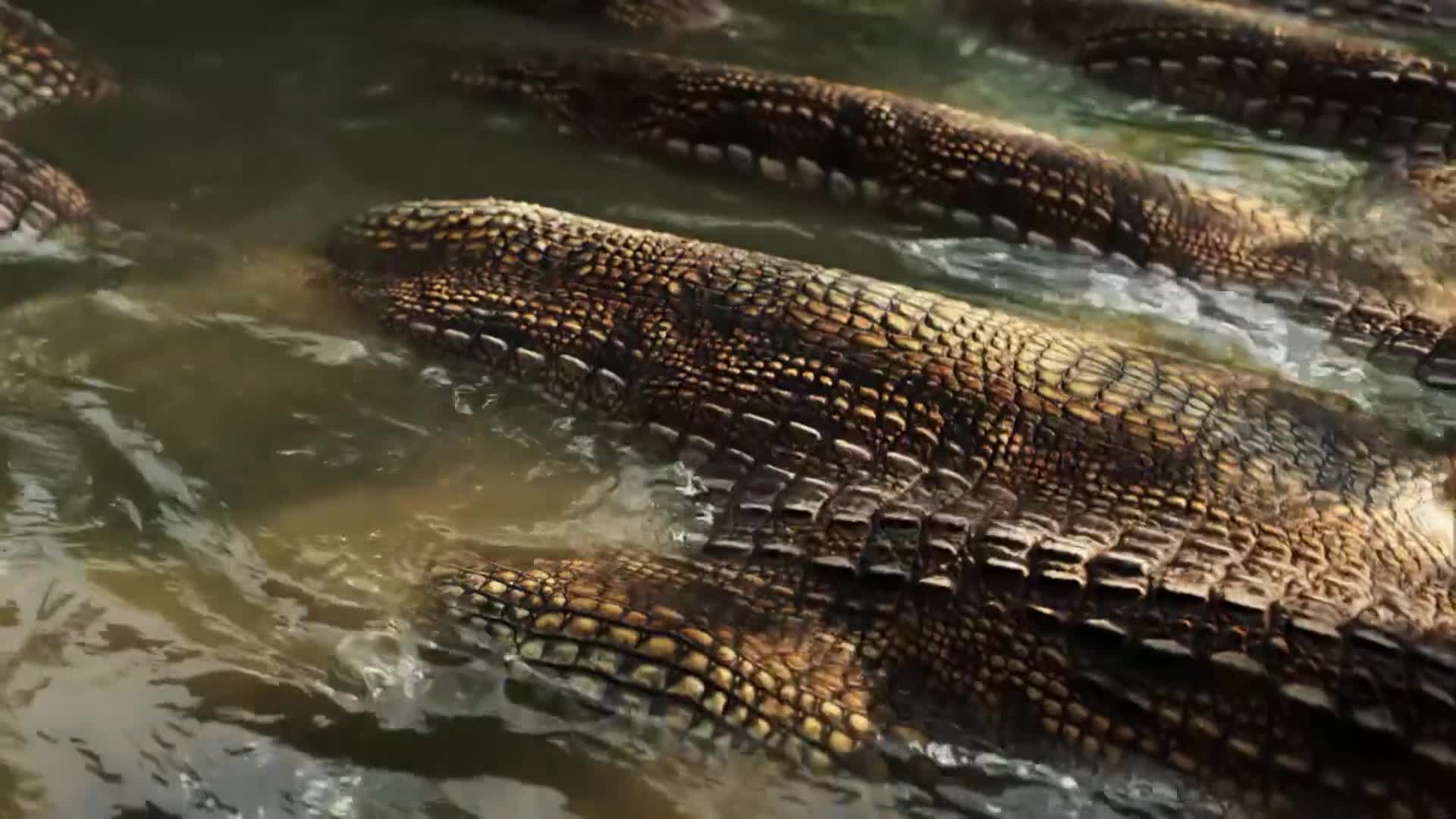 ViasatNature