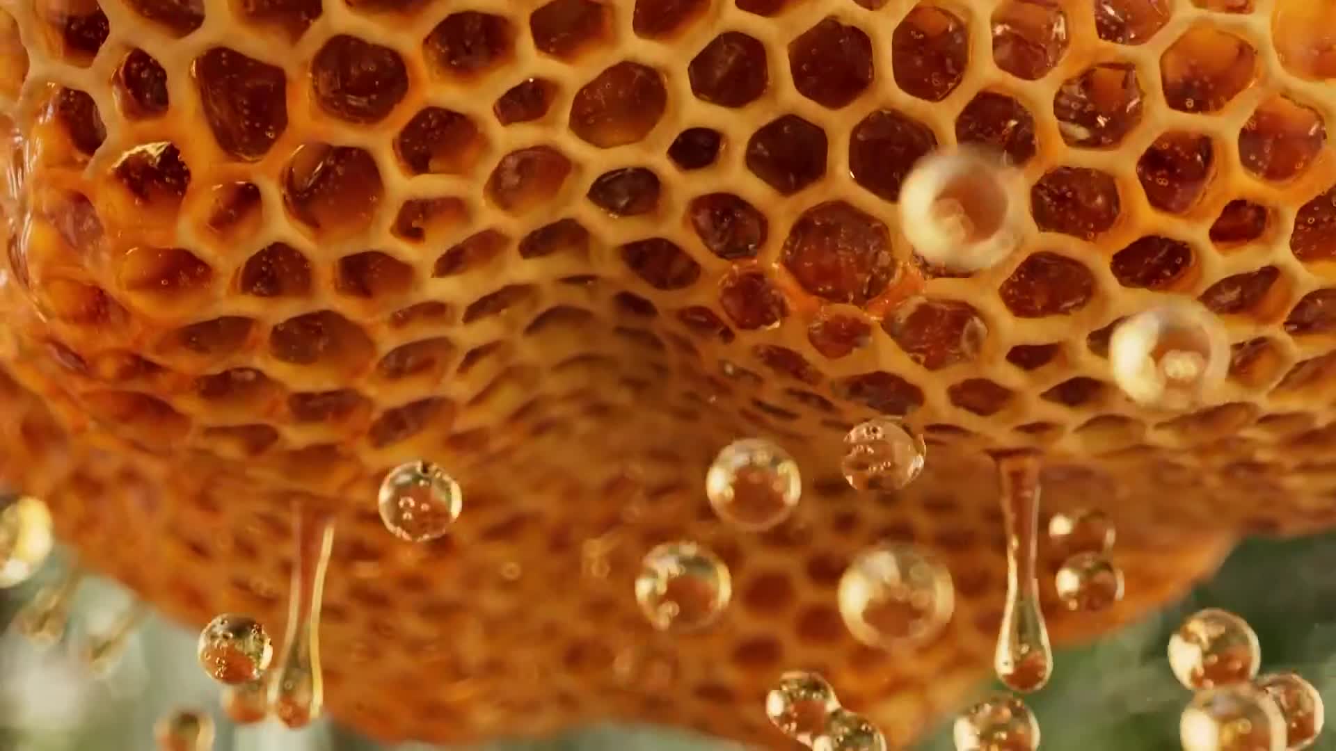 ViasatNature