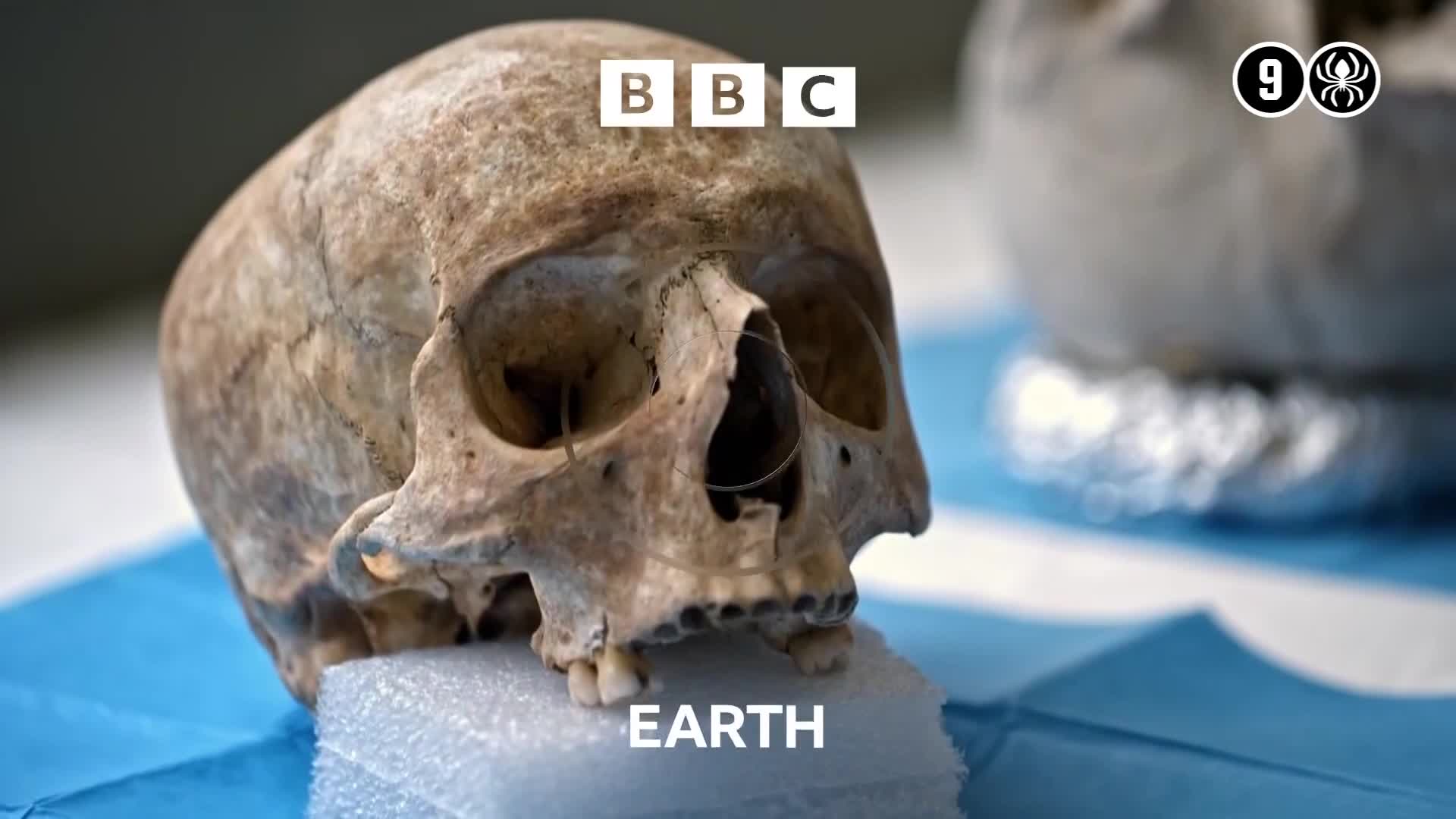 BBCEarth