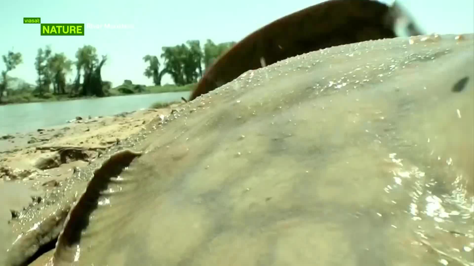 ViasatNature