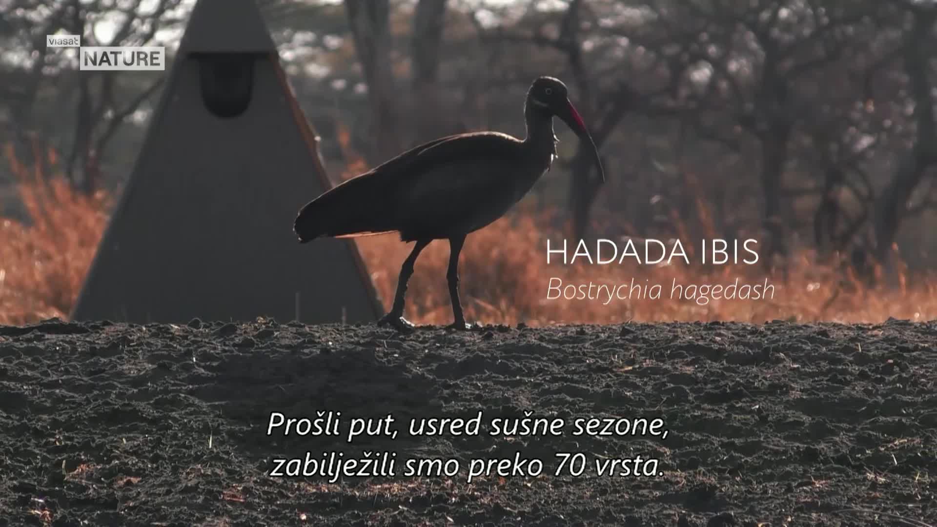 ViasatNature