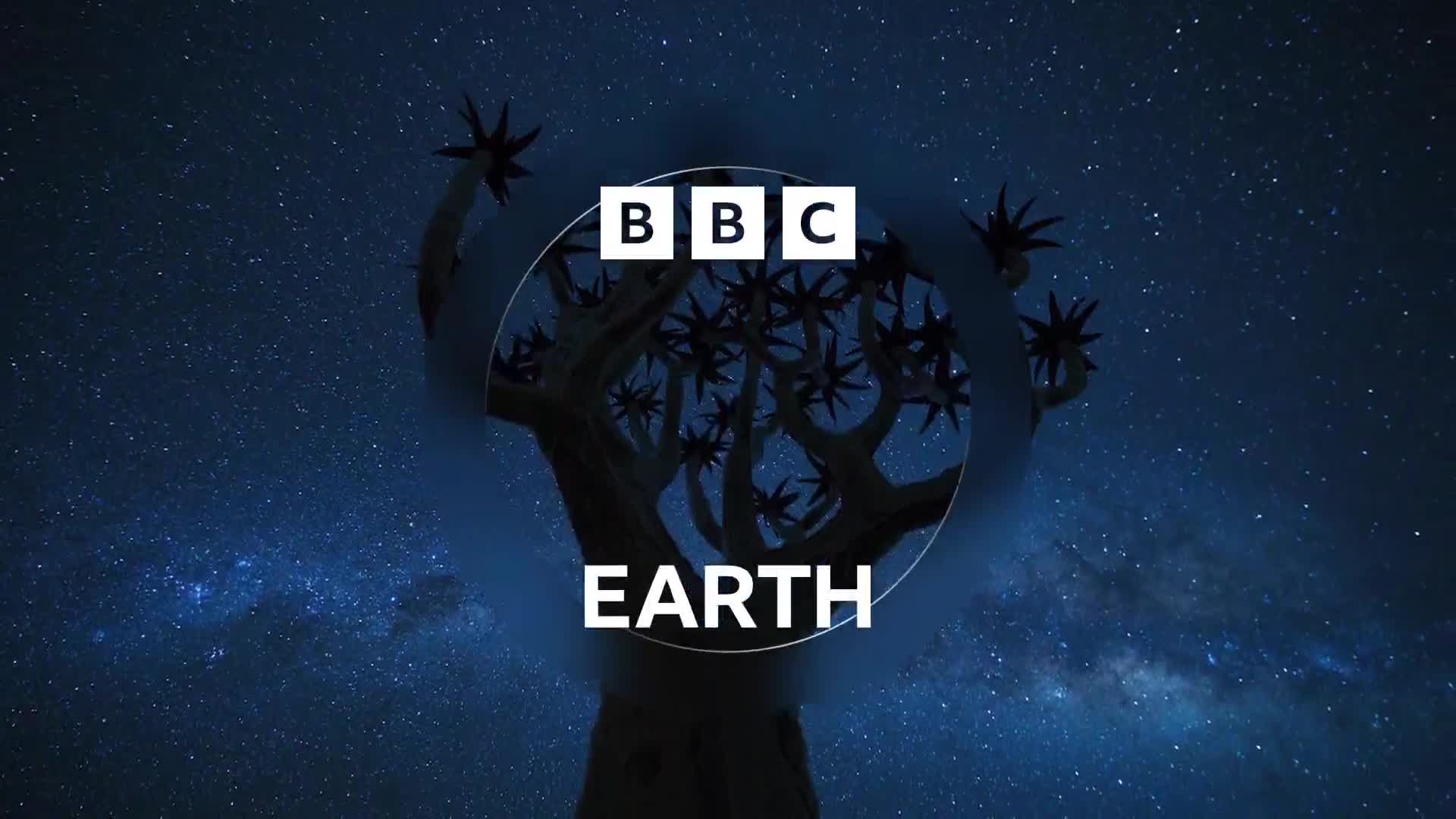 BBCEarth