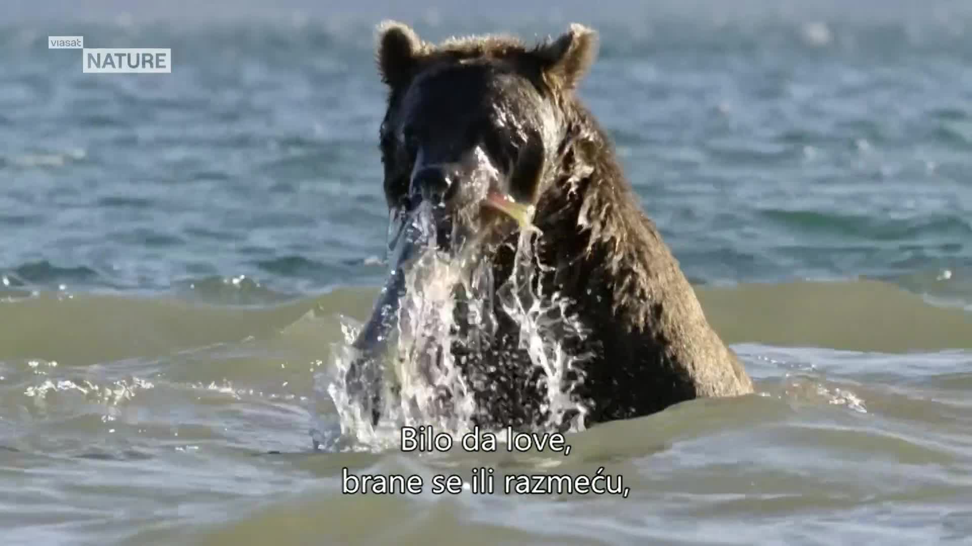 ViasatNature