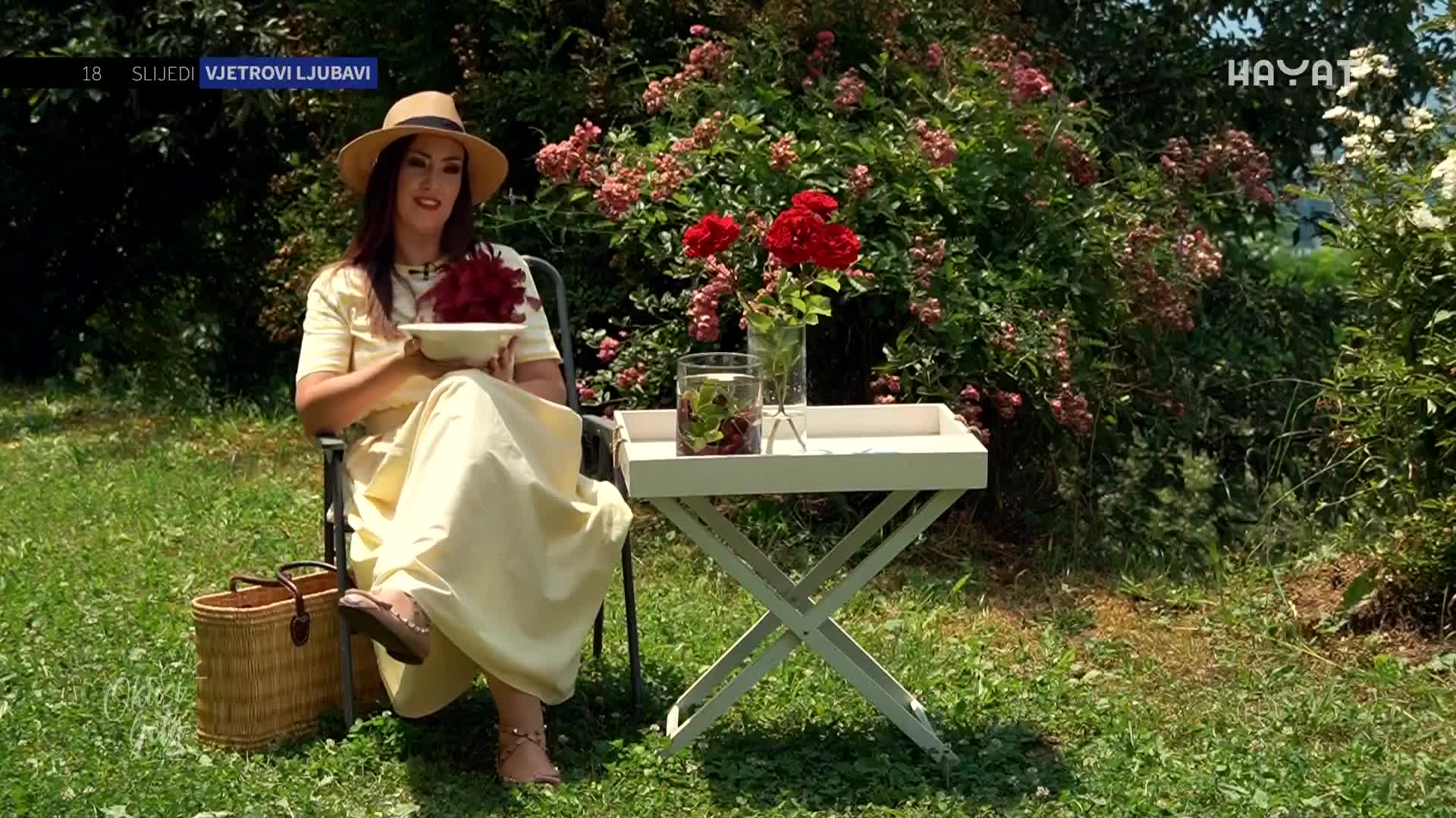 hayat