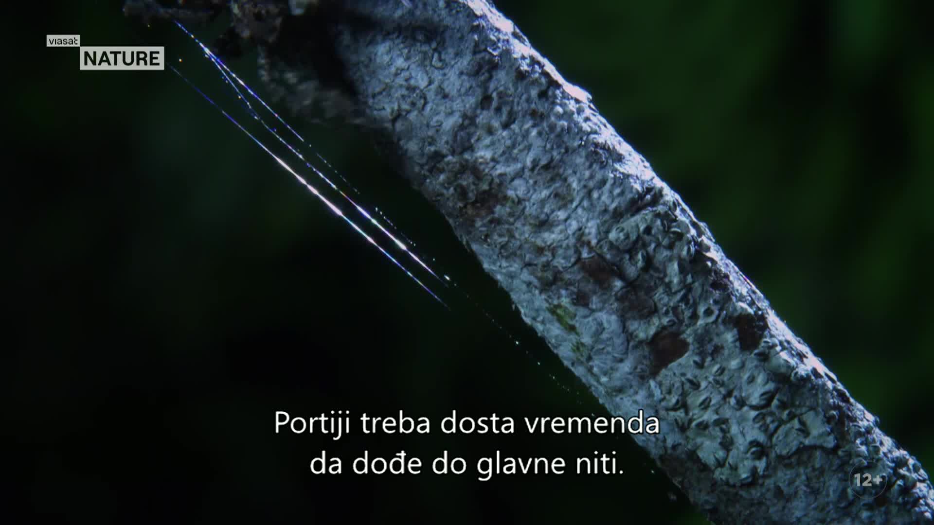 ViasatNature