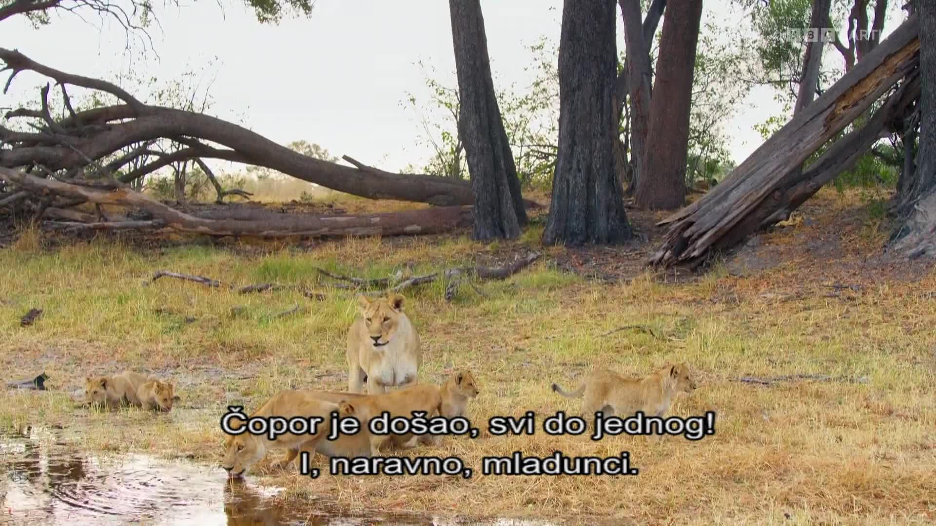 BBCEarth