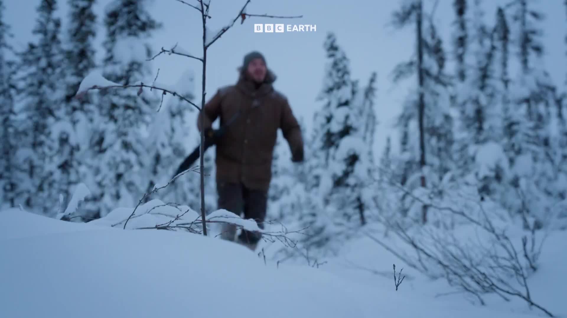 BBCEarth