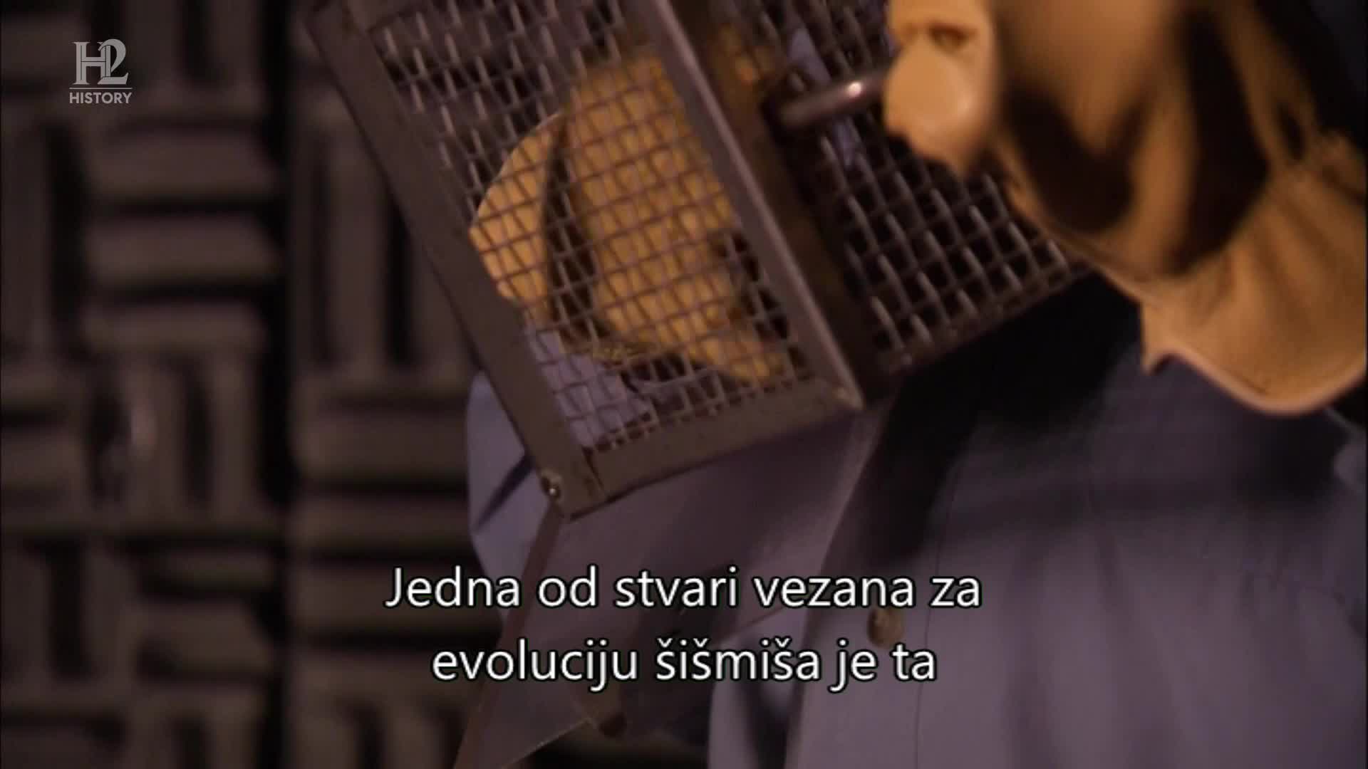 History2