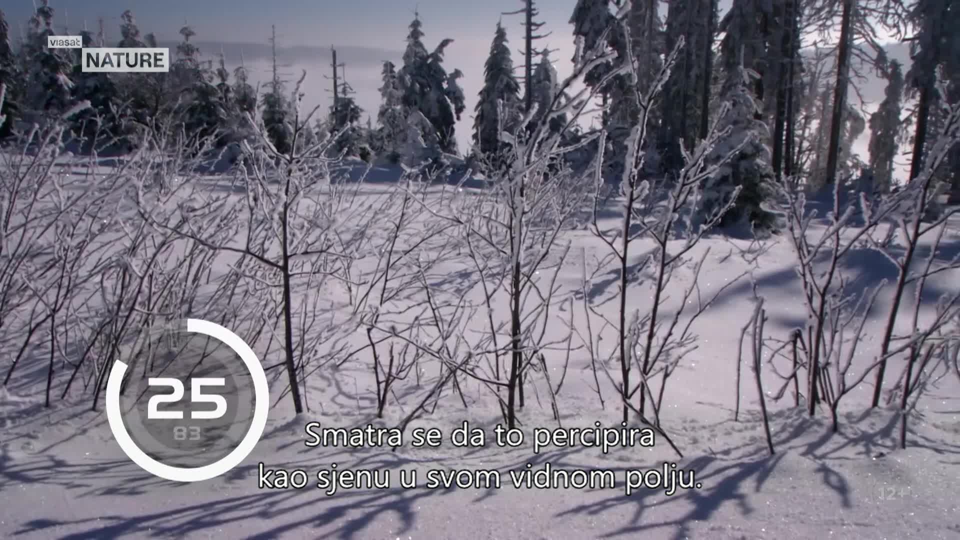ViasatNature