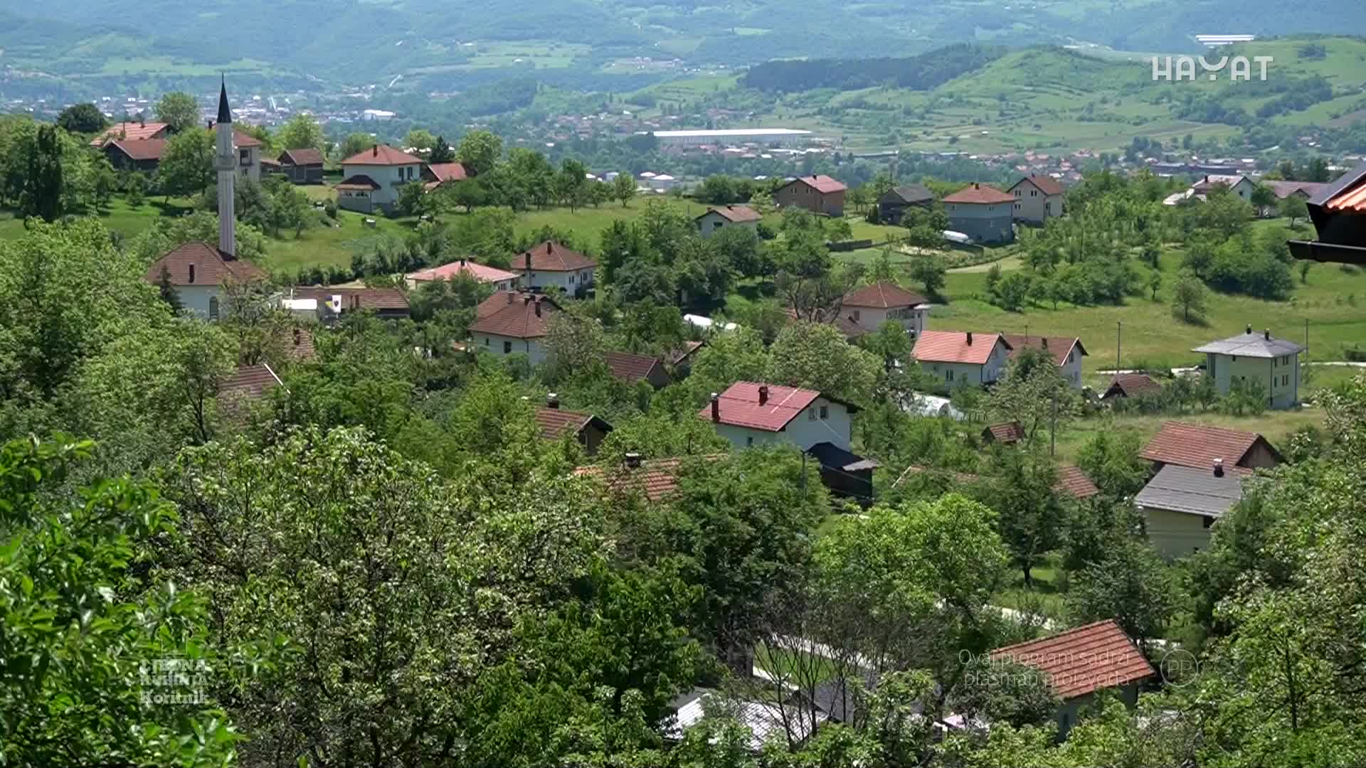 hayat