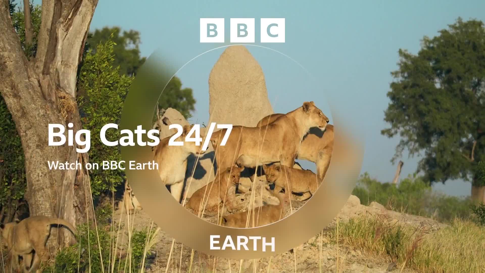 BBCEarth