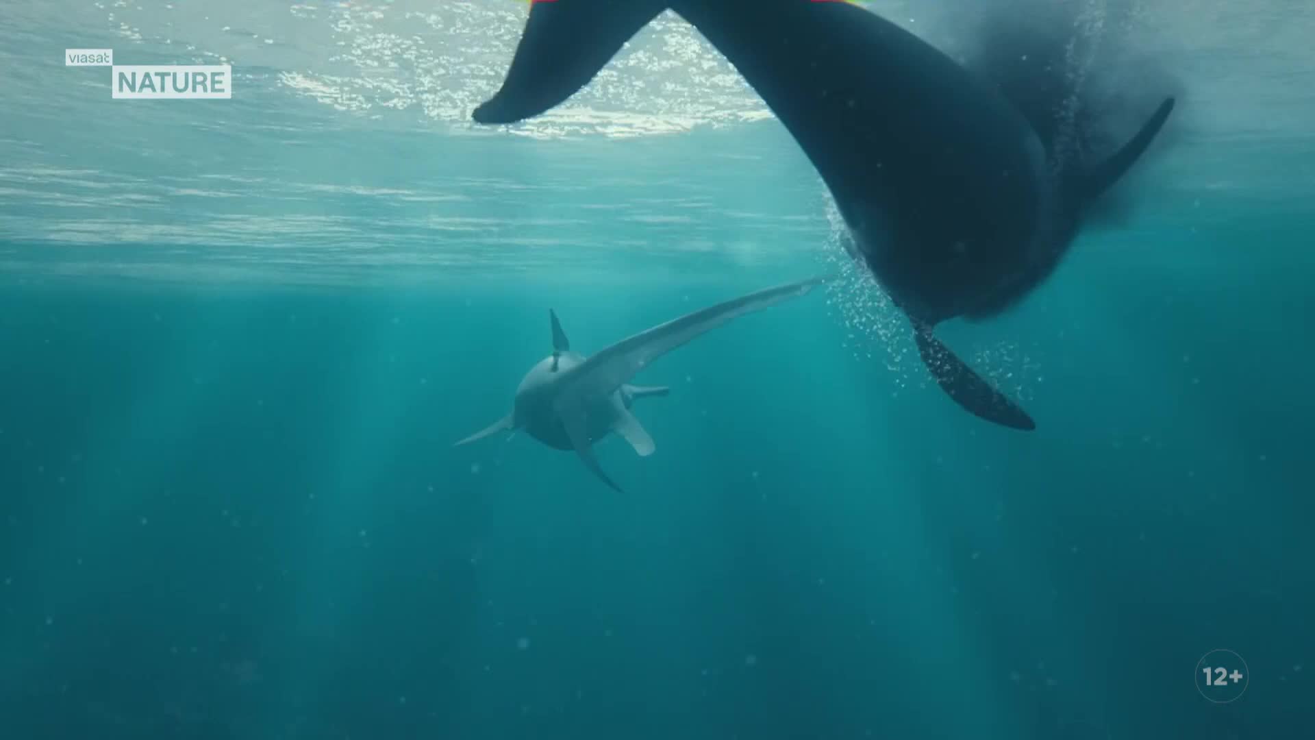 ViasatNature