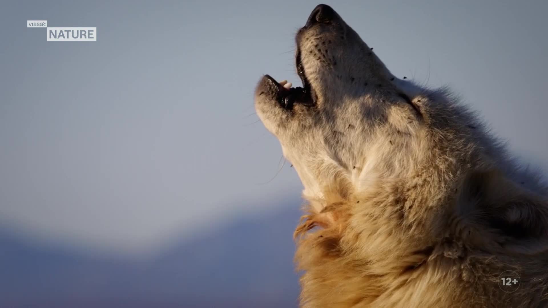 ViasatNature