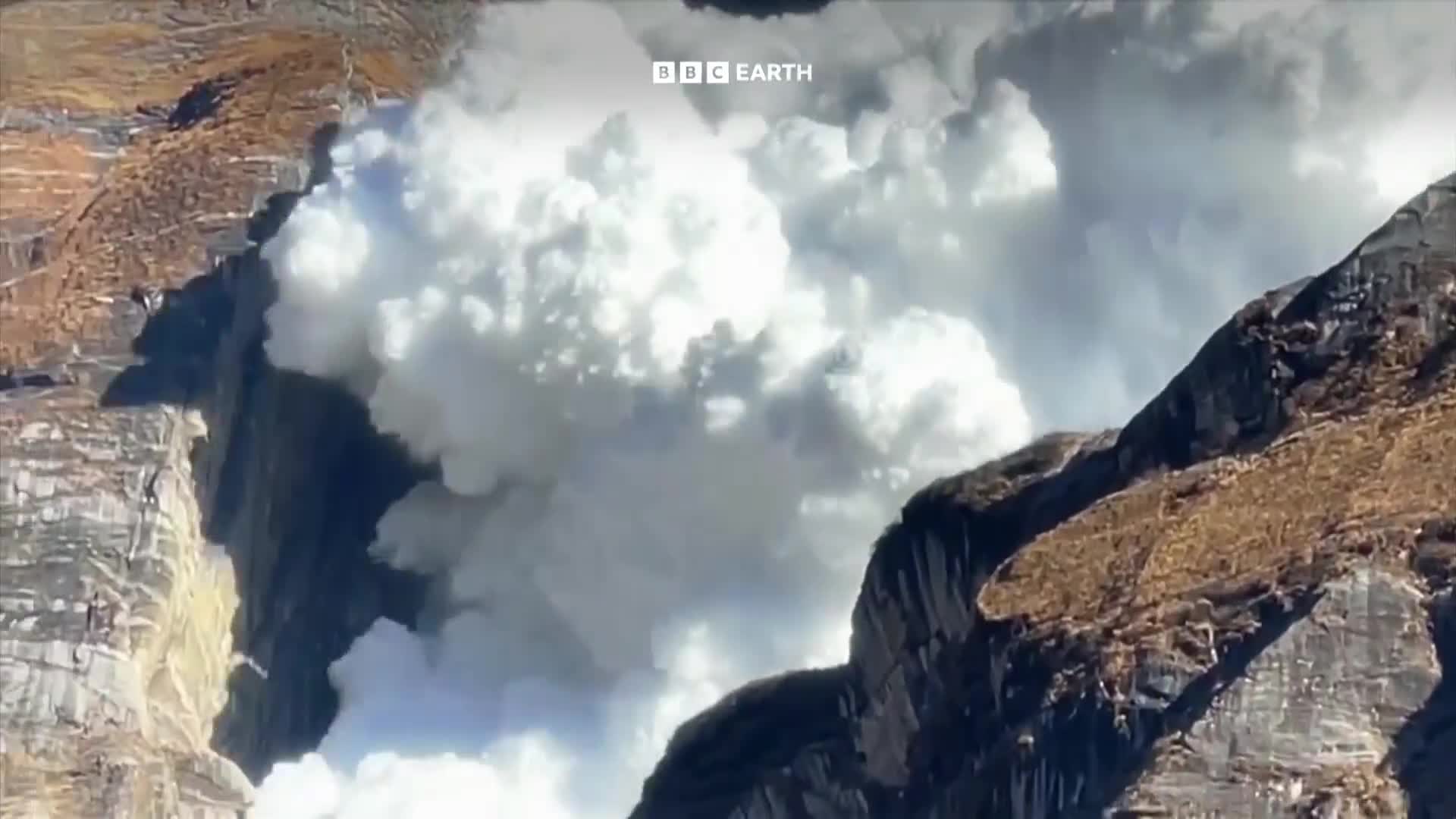 BBCEarth