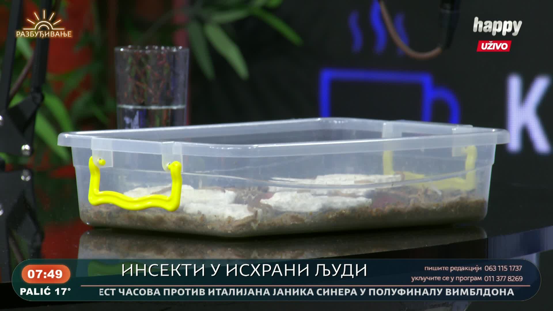 HappyTV