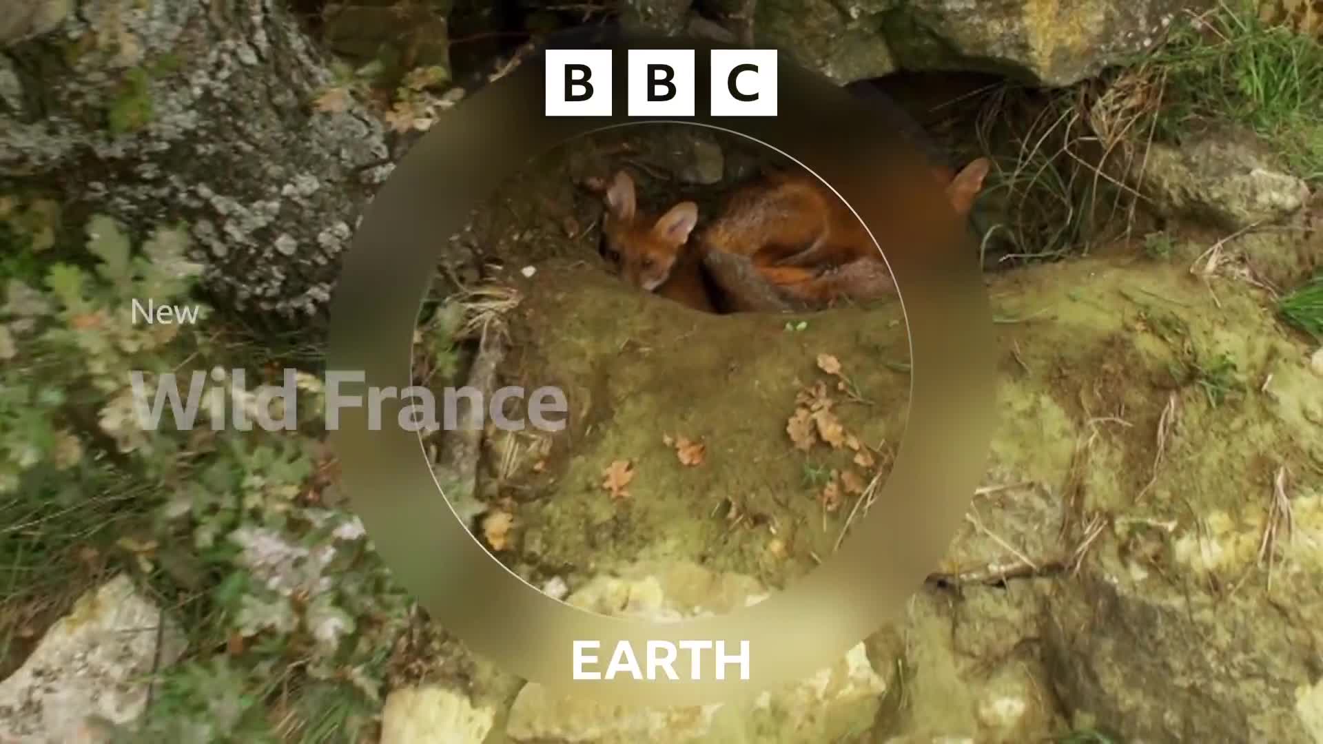 BBCEarth