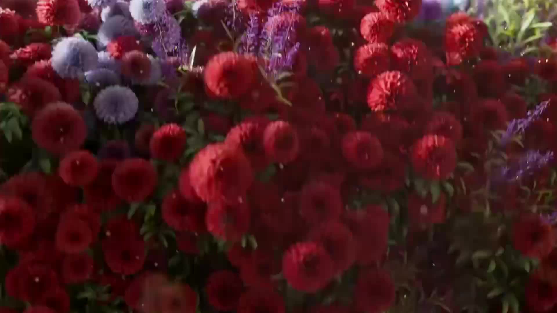 ViasatNature