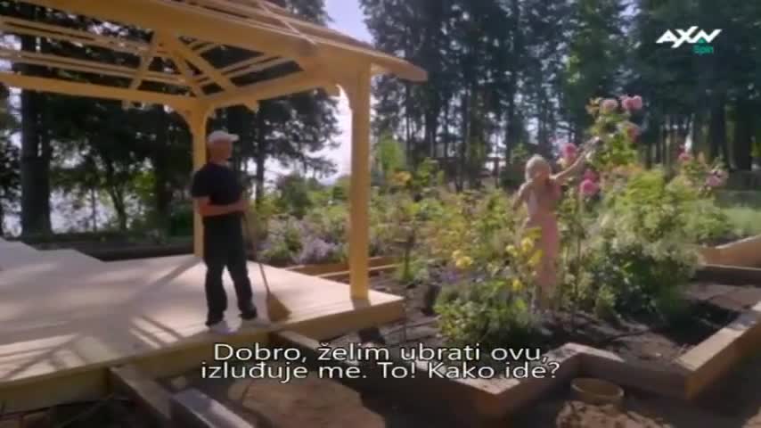 AXNSpin