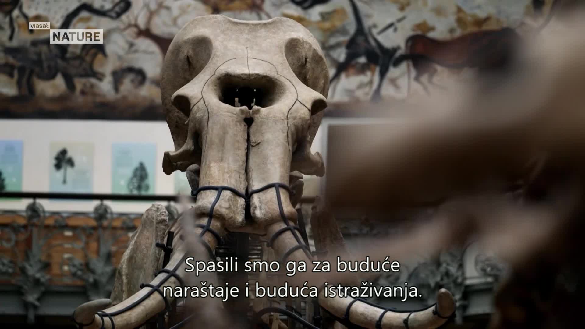 ViasatNature