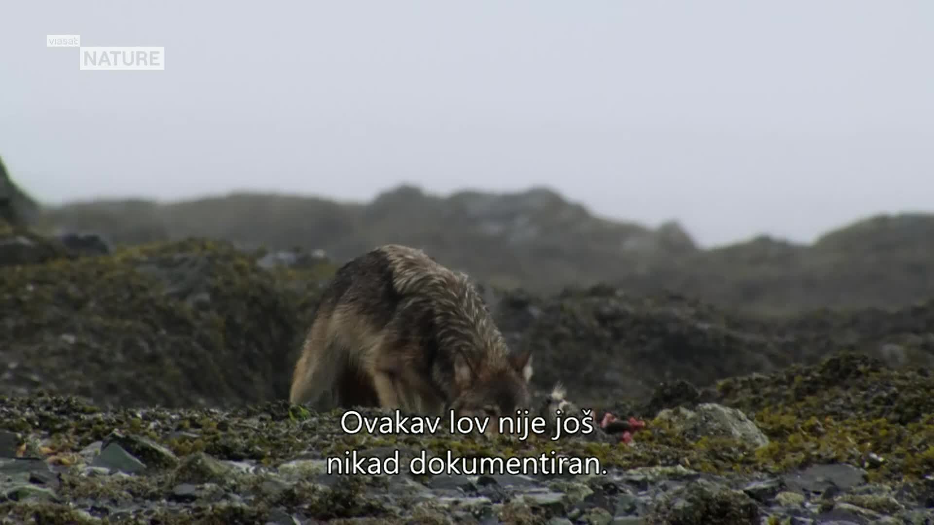ViasatNature