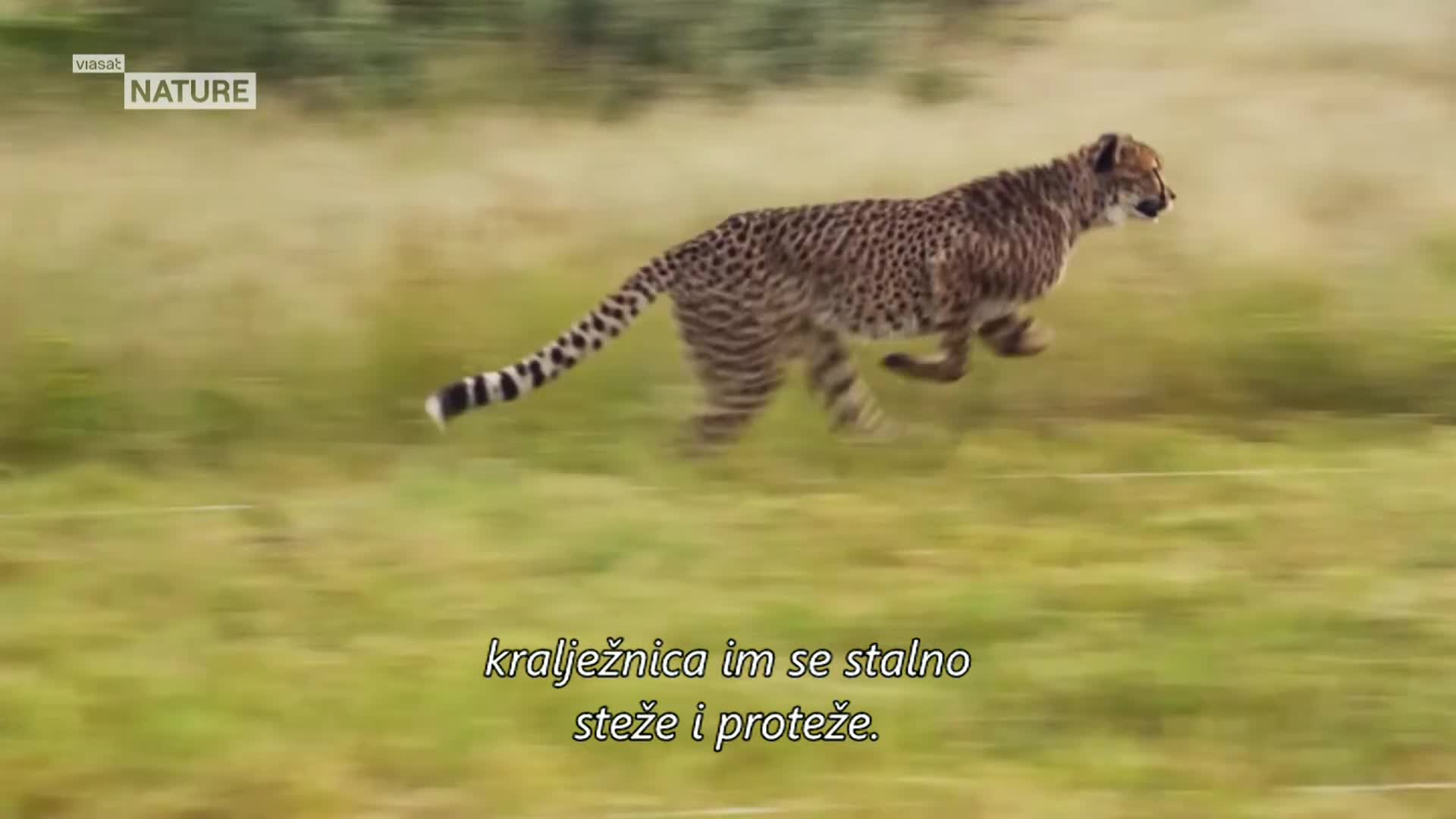 ViasatNature