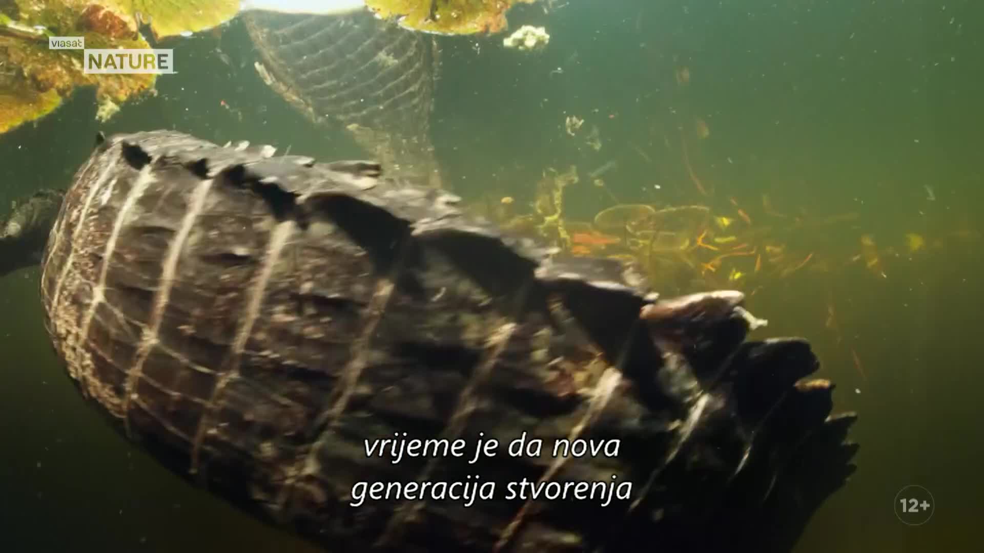 ViasatNature